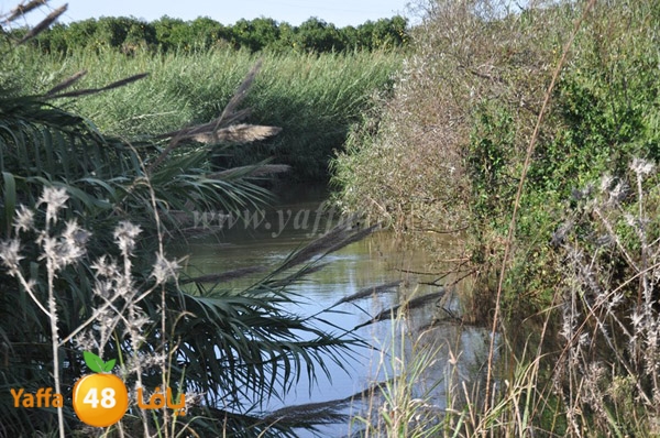 bayara visiting (23).JPG